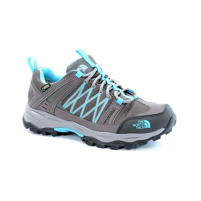 the north face alteo gtx